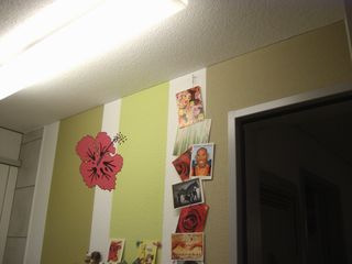 PIC00961
